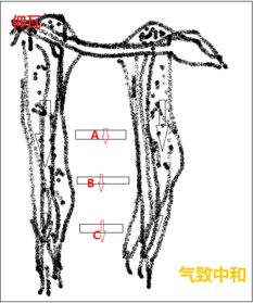 风水中的坐向是什么意思,风水中的坐向是什么意思
