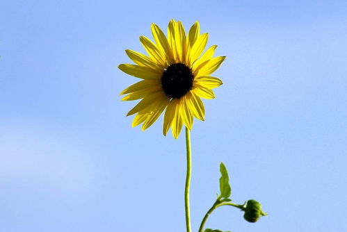 一、为哪些要花这么较大劲儿来挑名字？