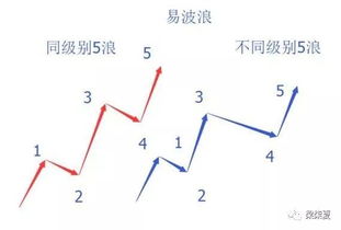 八字投河观察法能否准确预测投机高手的命运走势？