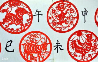 2024虎年八字运势如何？如何改写八字以提升运势？
