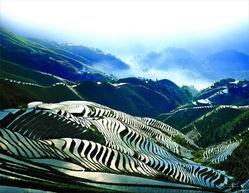 1.1 梯田的“诗意”——不止是看景， 更是被景逼疯