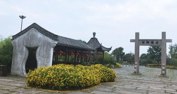 门票：史上最无耻的骗局