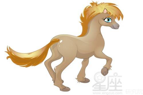 注意事项请认真实阅读！（千万别忽略！）