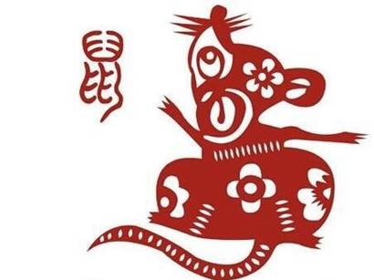 金鼠命是什么命