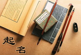 裕字取名对女孩凶吉如何？其寓意是富足、丰盈，是否适合用作名字？