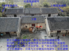 百色一门三总督的族谱中，究竟有何风水奥秘，能孕育出三位总督？