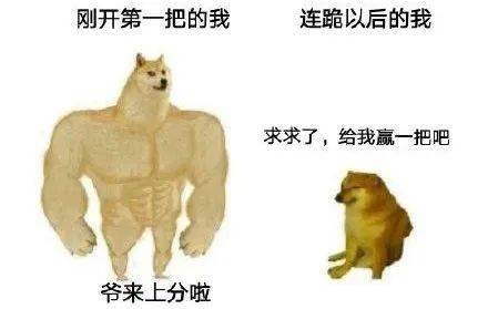 鸡飞狗跳的生肖是鸡，打一数字是九，改写为：鸡飞狗跳的生肖和数字分别是什么？