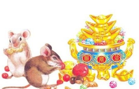 属鼠的倒霉蛋