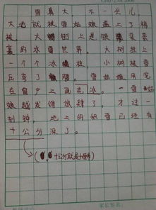 3.1 艹部首（草/树）最常见