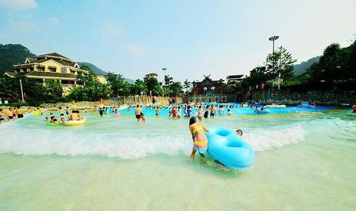 行业洞察：为什么横栏嫩脱颖而出？