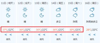 十二生肖的命运解析表格