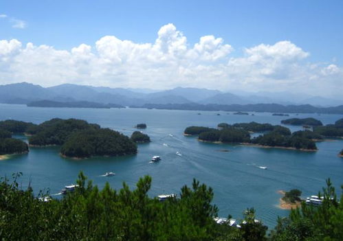 昆明澄江风景区,昆明澄江好玩吗