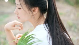 星座生肖乱炖：2026年桃花运大乱斗