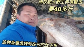 南方富豪重视风水不,南方富豪重视风水不