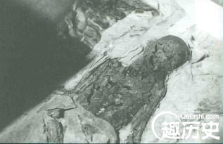 三·一、 血腥故事插播——搓路13号公寓惊魂记