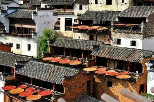 第一章：为什么我们要去暖泉古村找虐？