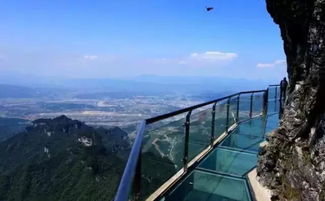 外白桥历险记：一场充满荒谬与尖叫的奇幻漂流