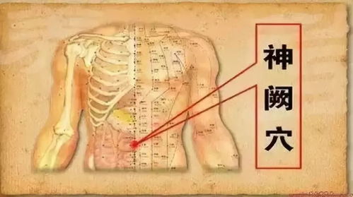 一、 神阙穴：通天立地之藏