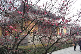 补充说明：惯与空气清新这件事