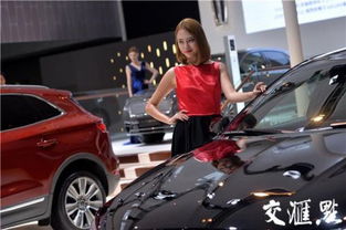 我的车展“预热”计划 (有点乱)