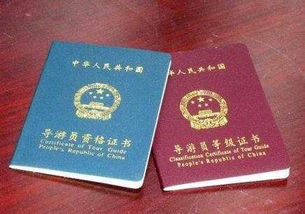 当导游证遇上舞蹈证：双证学霸的社死日常