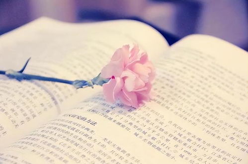 国学智慧：万物皆有灵， 读书需谨慎