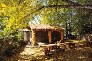 第一天：北海的阳光与沙滩（以及那些烦人的小贩）