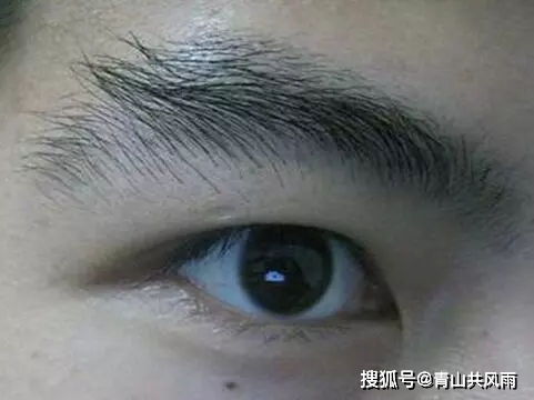 1、粗眉——男孩子气十足的“铁拳”