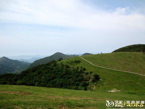 3. 天池