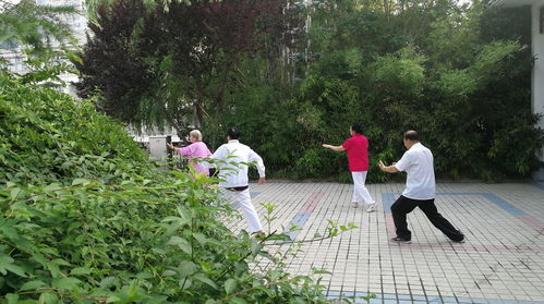 二、主题公园乱弹琴——迪士尼、环球、长隆全都搬进来了！