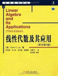 茅山道术入门：从零开始的混乱指南