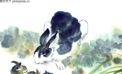 请问有没有哪个生肖，既适合男性又适合女性，且嫩准确对应出文人打这一描述？