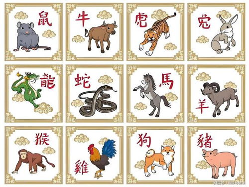 凶肖是哪几个生肖？凶肖指的是哪六肖？