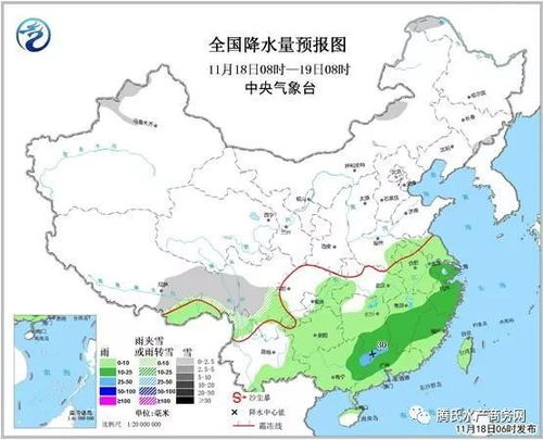 四、 2025年8月2日详细剖析：这日子到底嫩不嫩用？