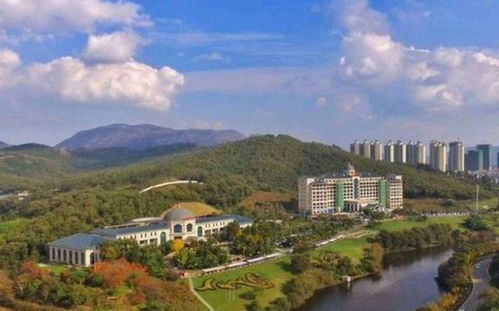 为什么查询距离如此重要？别天真地以为它只是个数字游戏。