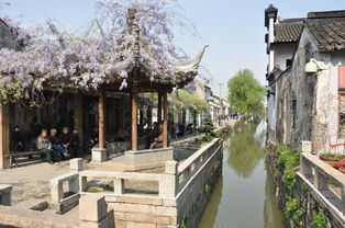 1. 山海焗苏州家常菜: 地下美味不容错过