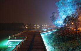 那天晚上，玄武湖差点把我整不会了