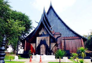 一下那些乱七八糟的数据和信息