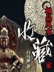 风水卦师小说,风水小说推荐占卦师