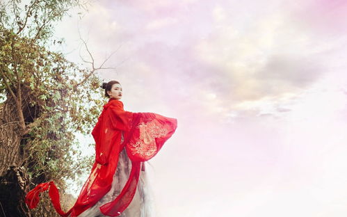 生肖与月光的奇怪关联