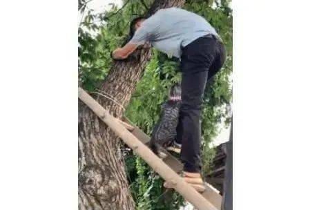 平稳：坚韧与不畏挫折
