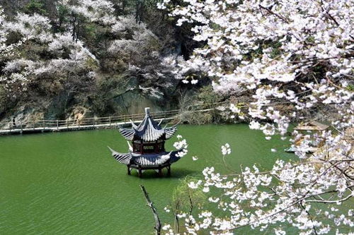 返程：带着疲惫和满足回家