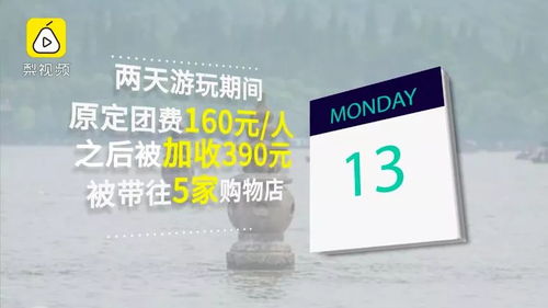 1.1 报团的“省心”到底有多省？