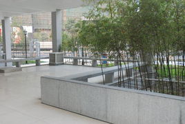 钱江新城实验学院,钱江新城实验学校口水楼市