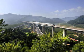 冲突的开场：一场意外的旅程