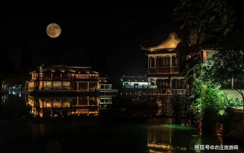 夏夜赏月的期望与现实