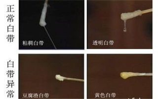 噪音环节——让你读得更顺心（真的，我决定加一点噪音！)