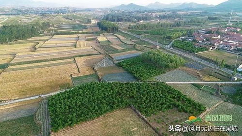 抵达崭新联家园， 轻巧启心灵之旅