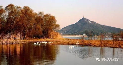 1. 仙山湖国家湿地公园：别说我没告诉你这个