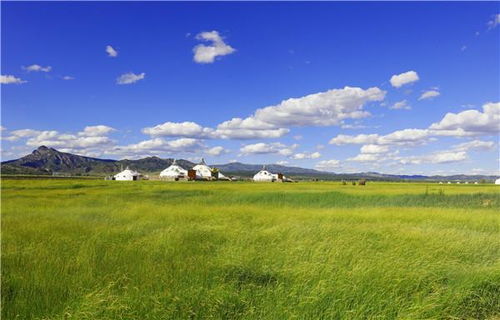 呼和塔拉草原：不是所有草原都能让你